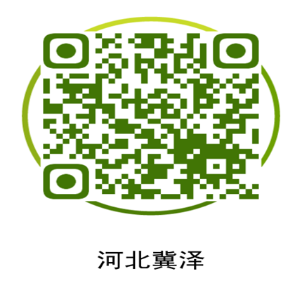 龙8唯一官网